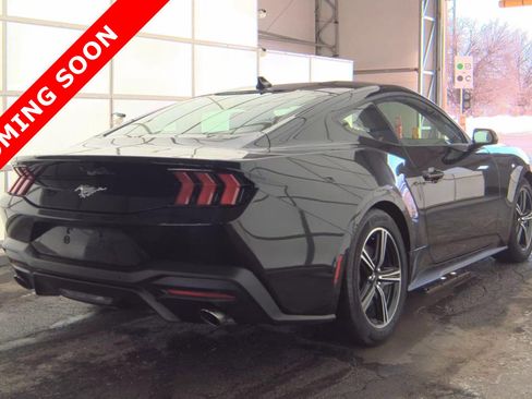 Used 2024 Ford Mustang Coupe image 4