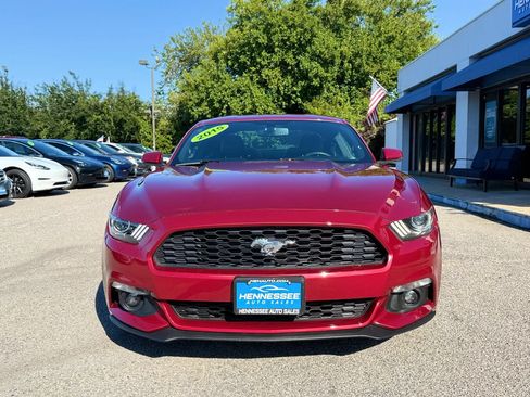 Used 2015 Ford Mustang Premium w/ Equipment Group 201A RWD image 4