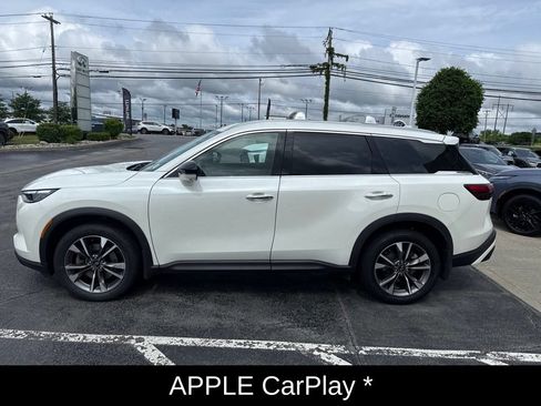 Certified 2023 INFINITI QX60 Luxe w/ Cargo Package AWD/4WD image 12