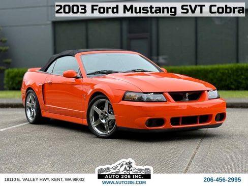 Used 2003 Ford Mustang Cobra RWD image 1