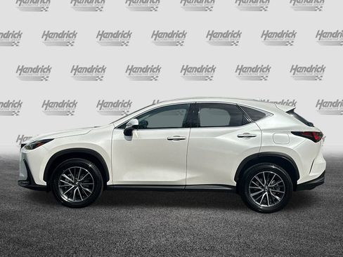 Used 2025 Lexus NX 350h AWD w/ Cold Area Package image 8