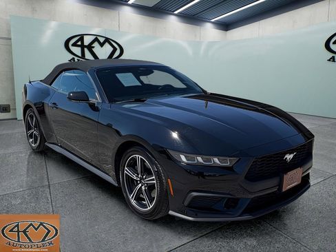Used 2025 Ford Mustang Premium RWD image 1