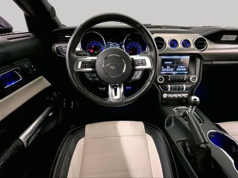 Used 2015 Ford Mustang 50 Years RWD image 5