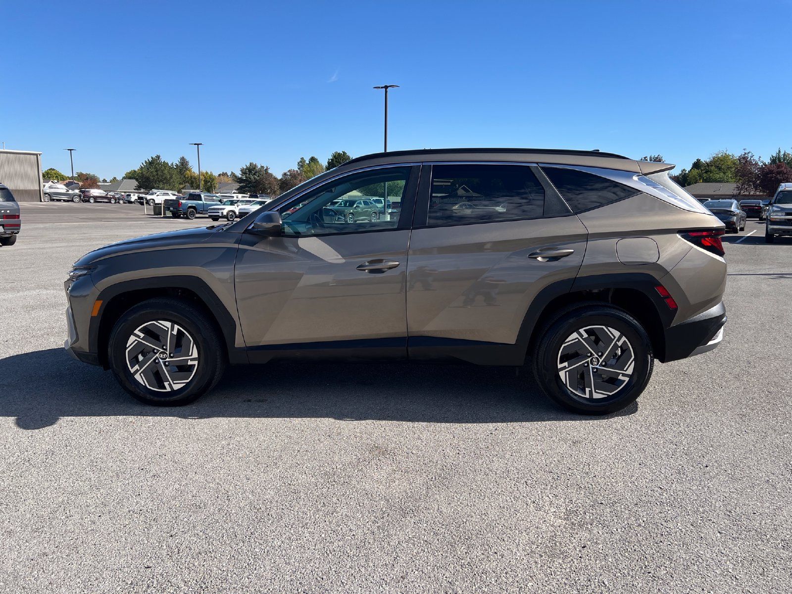Certified 2025 Hyundai Tucson Blue AWD/4WD image 6
