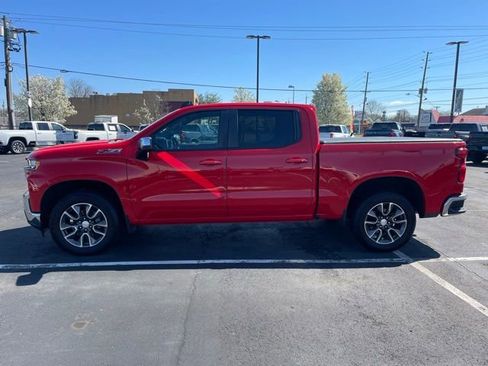 Used 2019 Chevrolet Silverado 1500 LT w/ All-Star Edition image 4