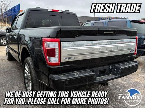 Used 2023 Ford F150 Limited image 3