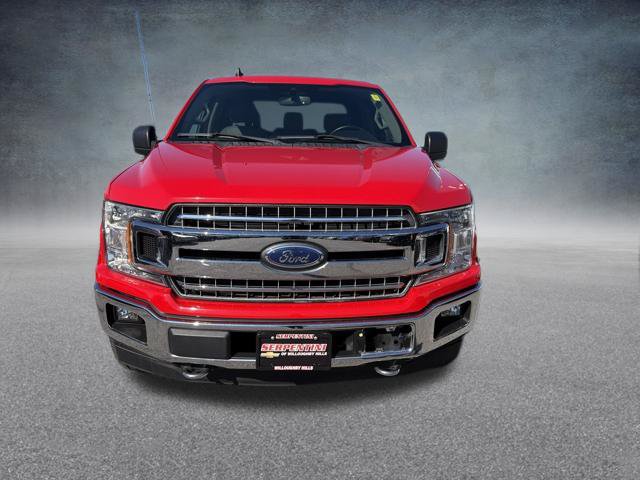 Used 2020 Ford F150 XLT w/ Equipment Group 302A Luxury AWD/4WD image 3
