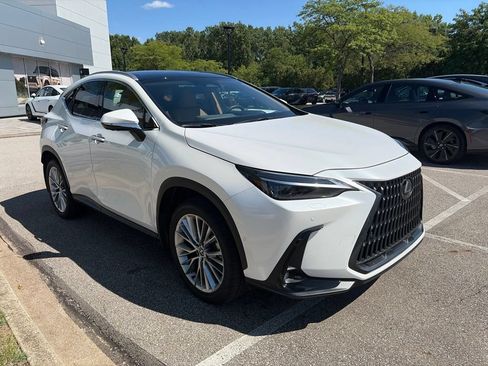 Used 2025 Lexus NX 350 AWD w/ Rear Seat Package image 3