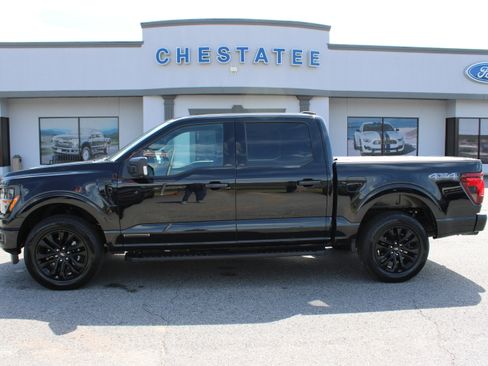 Used 2025 Ford F150 XLT w/ Equipment Group 302A MID image 1