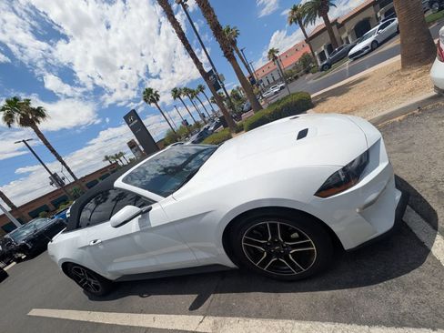 Used 2023 Ford Mustang Premium w/ Equipment Group 201A RWD image 3