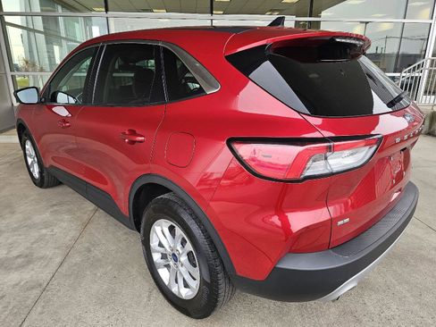 Used 2022 Ford Escape SE w/ Cold Weather Package image 3