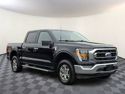 Used 2023 Ford F150 XLT w/ Equipment Group 302A High