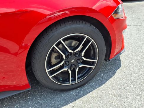 Used 2019 Ford Mustang Premium RWD image 12