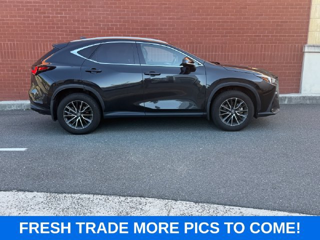 Used 2024 Lexus NX 350h AWD image 1