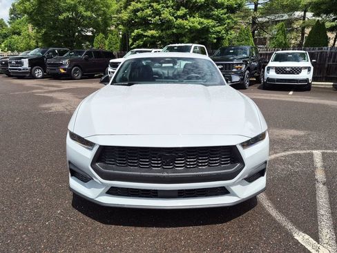 New 2026 Ford Mustang Premium w/ Mustang Nite Pony Package RWD image 2