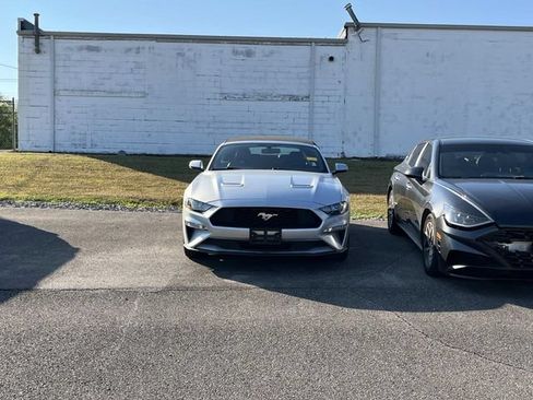 Used 2019 Ford Mustang Premium RWD image 6