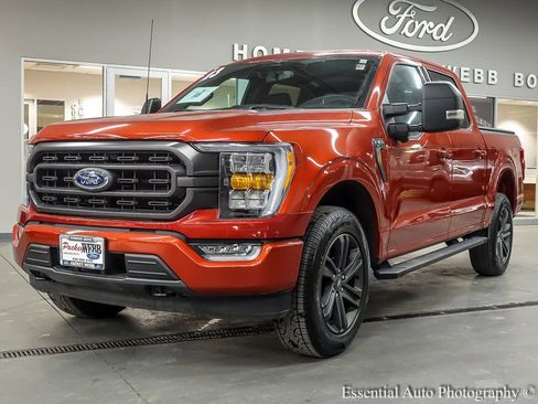 Used 2023 Ford F150 XLT w/ Equipment Group 302A High image 2