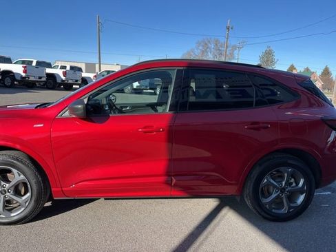 Used 2024 Ford Escape ST-Line AWD/4WD image 5