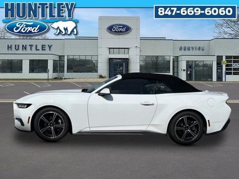 Used 2024 Ford Mustang Premium RWD image 7