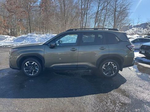 Used 2025 Subaru Forester Limited image 6