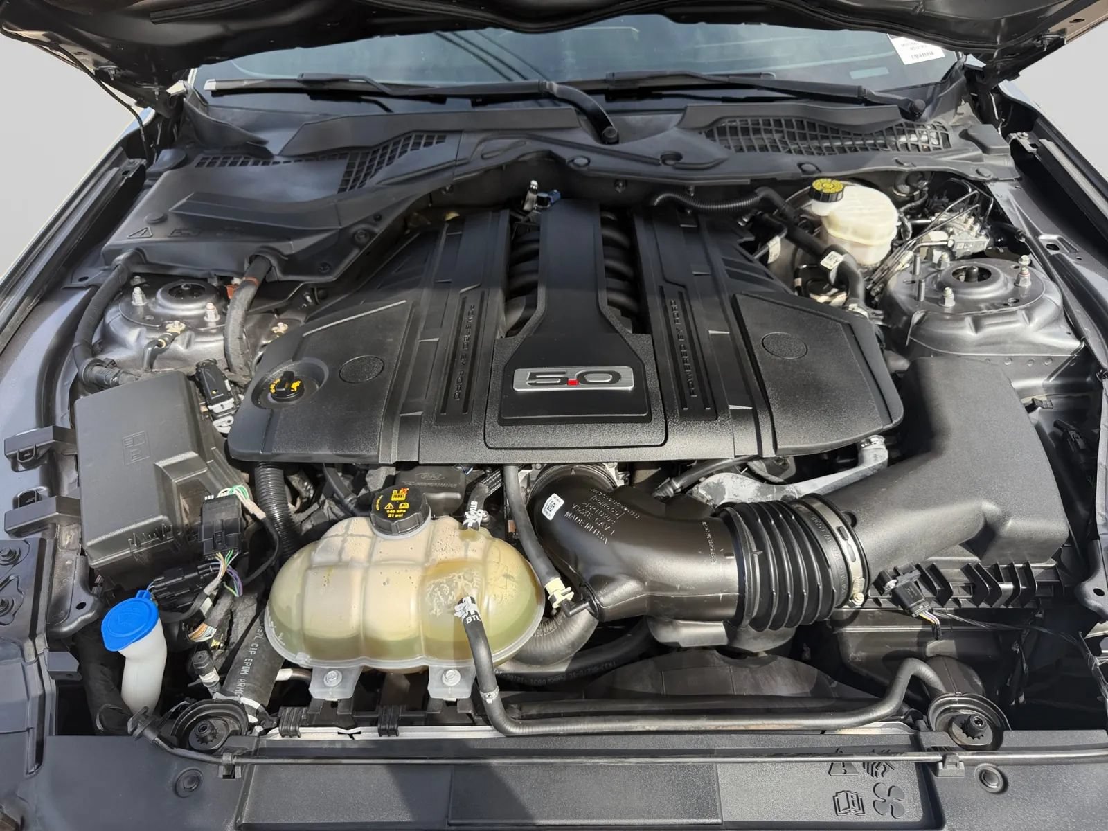 Used 2021 Ford Mustang GT RWD image 33