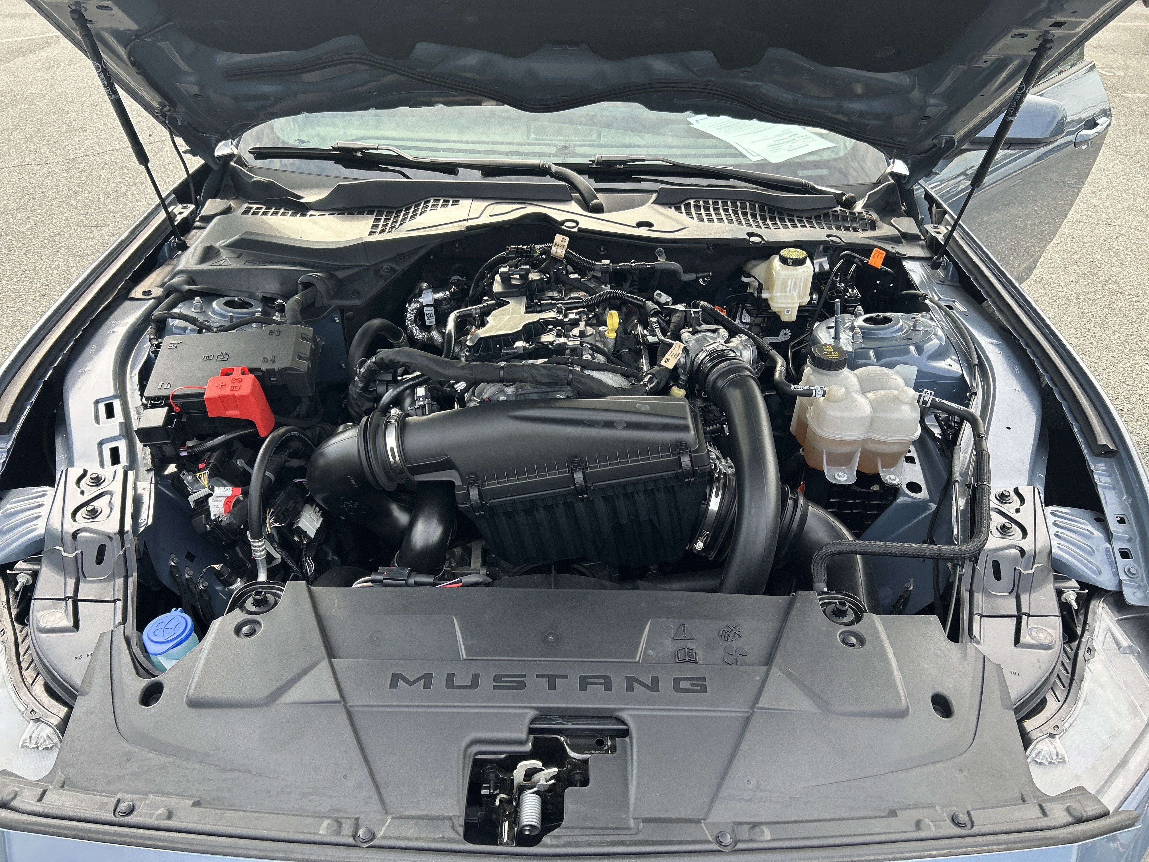 Used 2024 Ford Mustang Premium RWD image 19