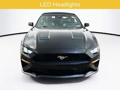Certified 2023 Ford Mustang Premium RWD image 2