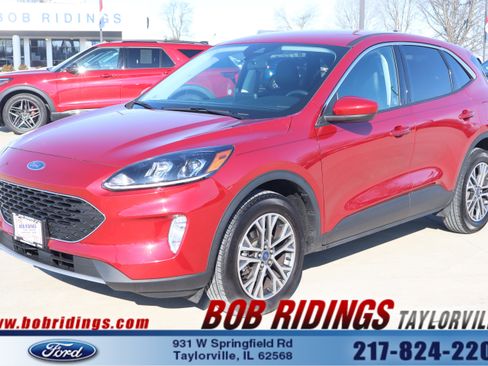 Used 2022 Ford Escape SEL image 1