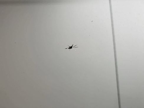 Used 2007 Toyota Tundra Limited image 34