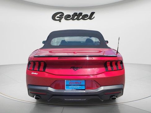 Used 2024 Ford Mustang Premium w/ Mustang Nite Pony Package RWD image 6