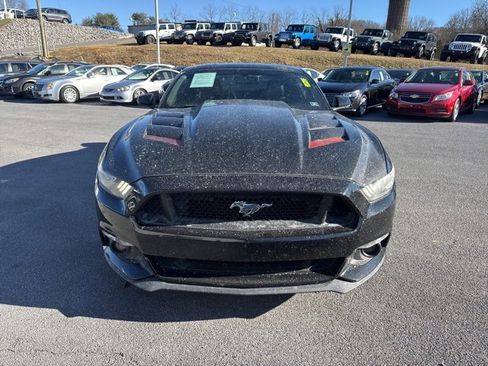 Used 2016 Ford Mustang GT Premium w/ Equipment Group 401A image 3