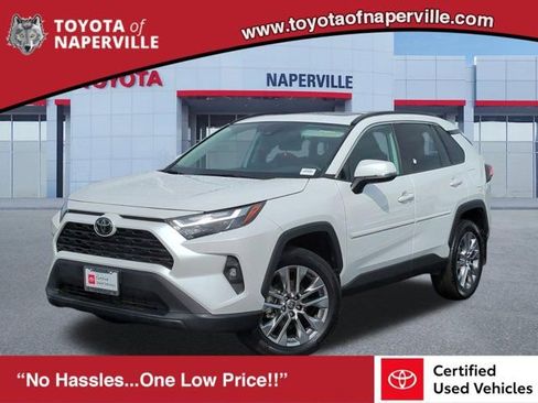 Certified 2025 Toyota RAV4 XLE Premium image 1