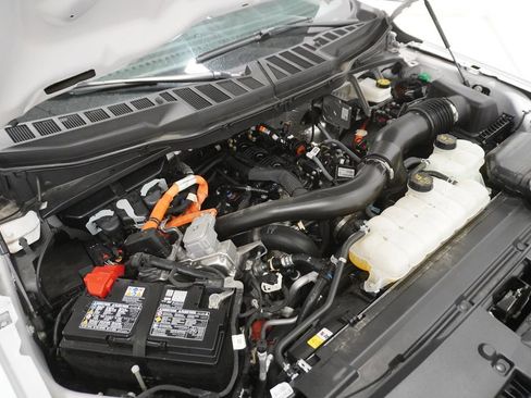 Used 2025 Ford F150 XLT w/ Equipment Group 301A Standard image 4