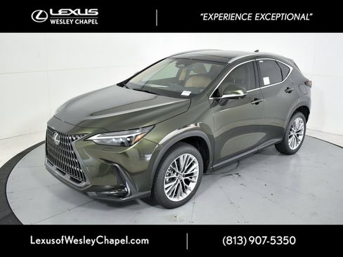 New 2026 Lexus NX 350 AWD w/ Luxury Package image 5