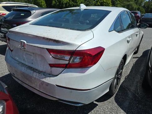 Used 2021 Honda Accord EX-L image 3