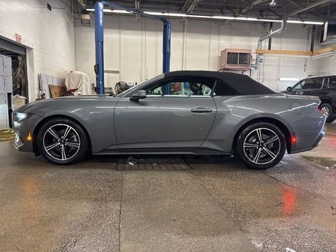 Used 2025 Ford Mustang Premium RWD image 3