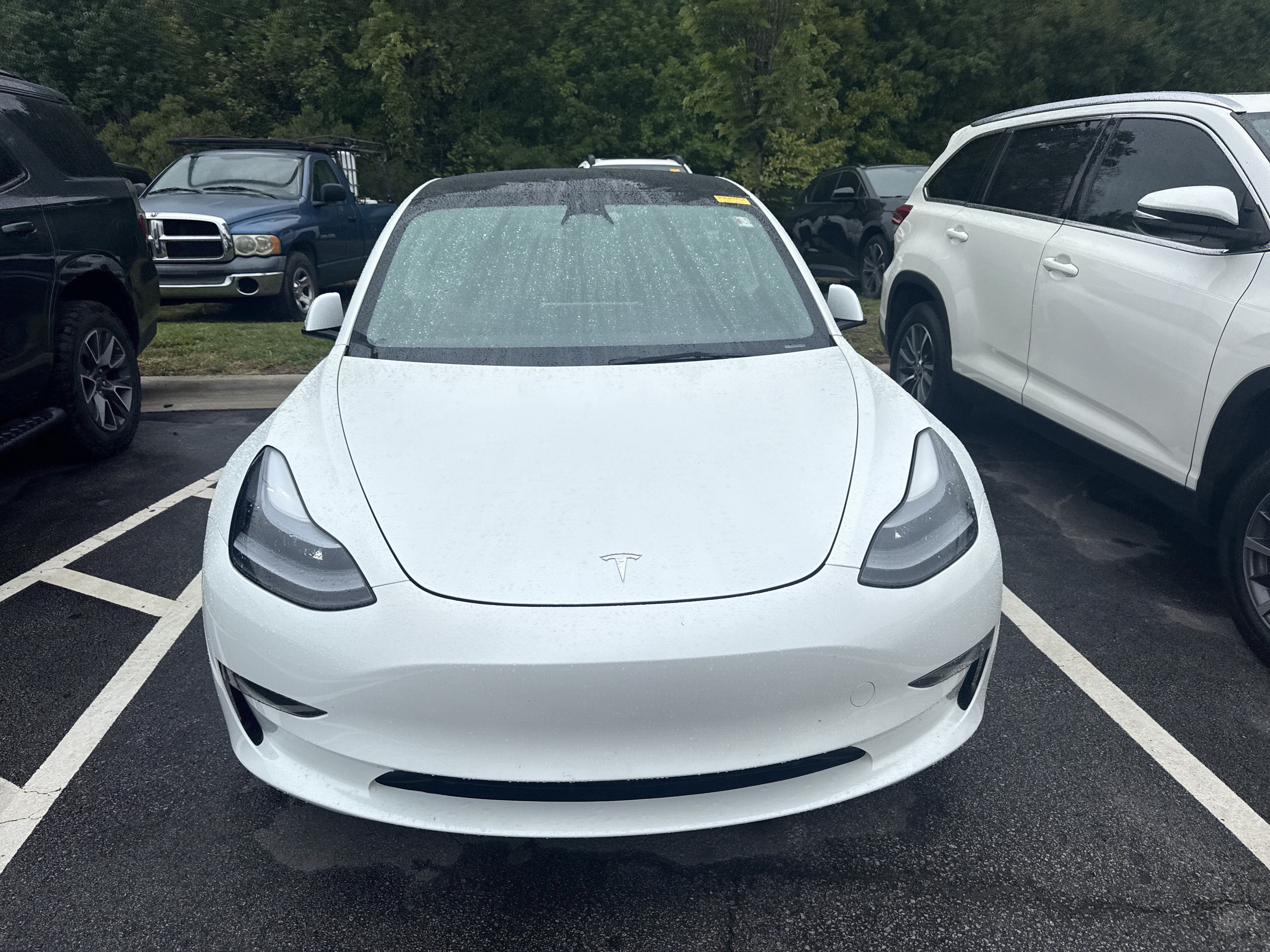 Used 2023 Tesla Model 3 Standard Range RWD image 2