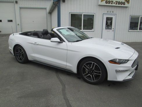 Used 2023 Ford Mustang Premium image 1