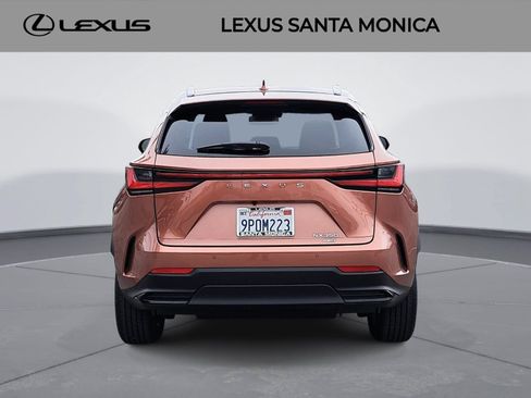 Used 2025 Lexus NX 350 AWD w/ Cold Area Package image 6