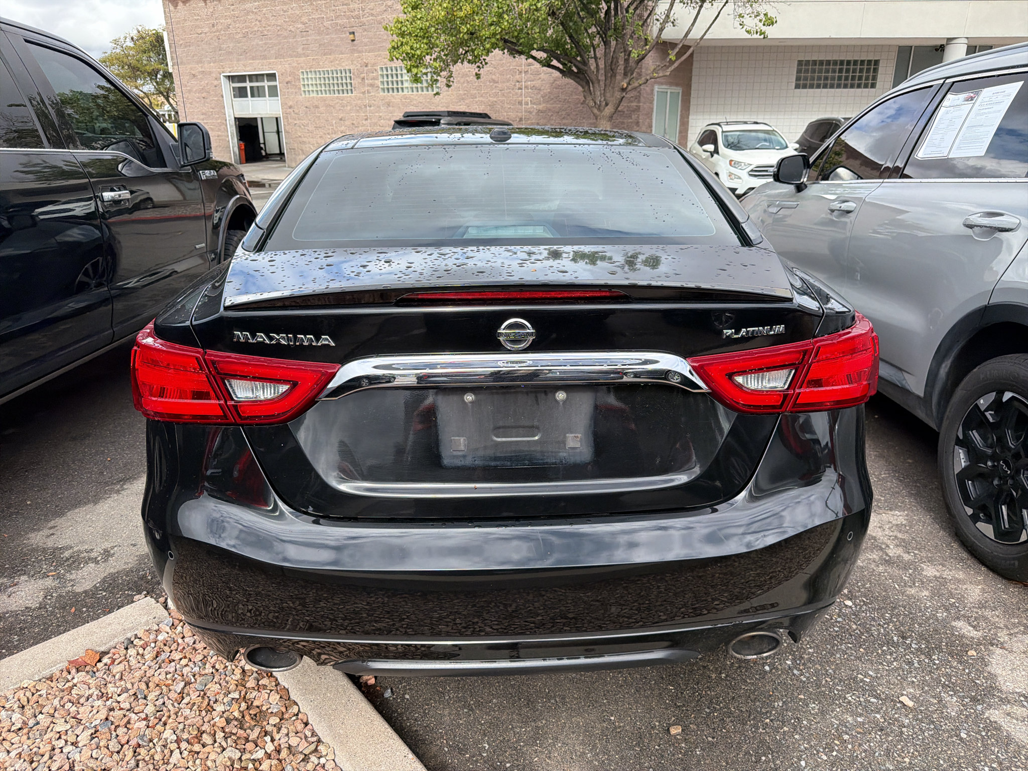Used 2016 Nissan Maxima Platinum FWD image 5