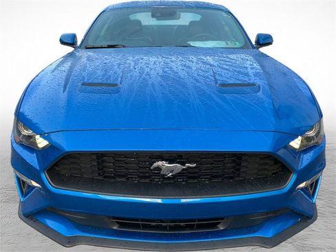 Used 2019 Ford Mustang Premium w/ Equipment Group 201A RWD image 7