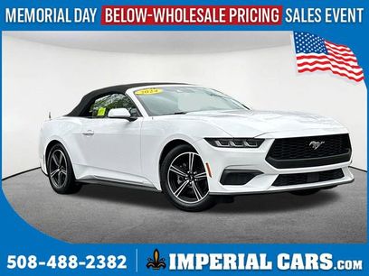 Used 2024 Ford Mustang Premium