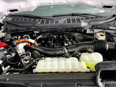 Used 2025 Ford F150 XLT w/ Equipment Group 301A Standard image 31