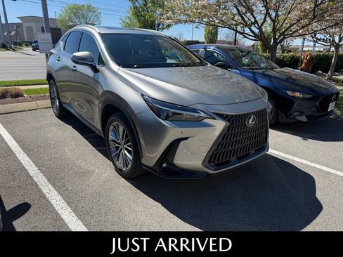 Used 2023 Lexus NX 350h AWD w/ Towing Package (2000 Lbs) image 2