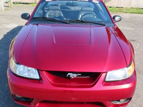 Used 1999 Ford Mustang Cobra RWD image 10