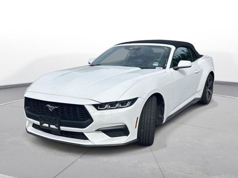 Used 2025 Ford Mustang Premium RWD image 2