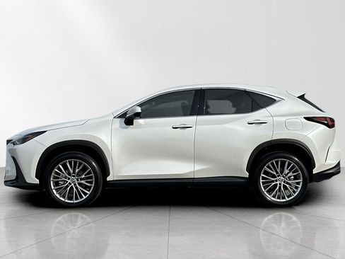 Used 2025 Lexus NX 350 AWD w/ Luxury Package image 3
