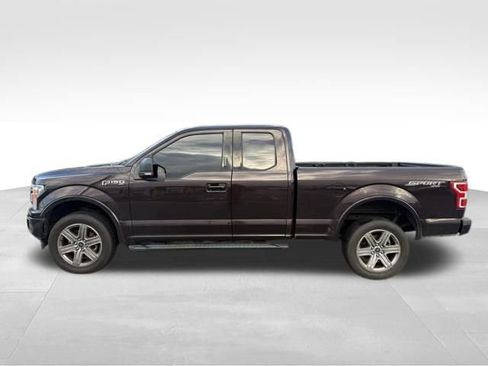 Used 2019 Ford F150 XLT w/ Equipment Group 302A Luxury AWD/4WD image 5
