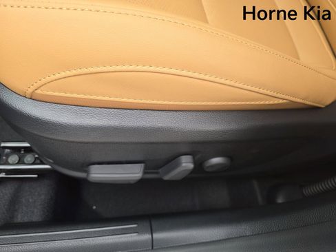 New 2026 Kia Seltos EX w/ EX Sunroof Package image 13