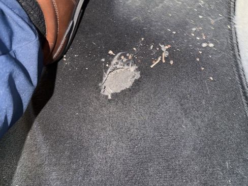 Used 2023 Hyundai Elantra Blue image 12